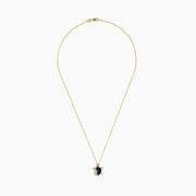Seaside 14K Yellow Gold Blue Sapphire and Diamond Turtle Pendant showcased on a white background, featuring a turtle with a sapphire-studded shell and gold accents on its head, legs, and flipper.
