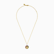 The 14K Yellow Gold Emerald Multi Sapphire and Diamond Panther Pendant features two hands holding a diamond, encircled by multi sapphires, on a delicate gold chain, reminiscent of a panther design.