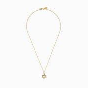Novelty 14K Yellow Gold Star of David Diamond Pendant displayed on a gold chain, featuring sparkling diamonds set along the edges of the star, shown against a plain white background.
