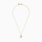 14K Yellow Gold Diamond Pavé Star of David Pendant