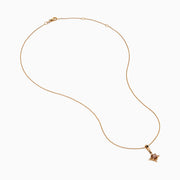 A 14K rose gold chain necklace featuring a pendant with brown and white diamonds.