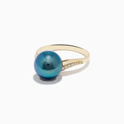 The 14K Yellow Gold Diamond Black Tahitian Pearl Ring features a striking round black Tahitian pearl at the center, accented by diamonds set along each side of the elegant split band.