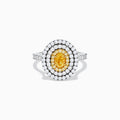 An 18K two-toned gold GIA certified Yellow and White Diamond Double Halo Ring, with an oval yellow center stone encircled by double halos of white diamonds on a diamond-accented band, displayed on a white background.