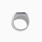 The Men's 14K White Gold Princess Cut Tanzanite and Diamond Signet Ring features three princess-cut tanzanites at the center, framed by small round white diamonds in an octagonal border.