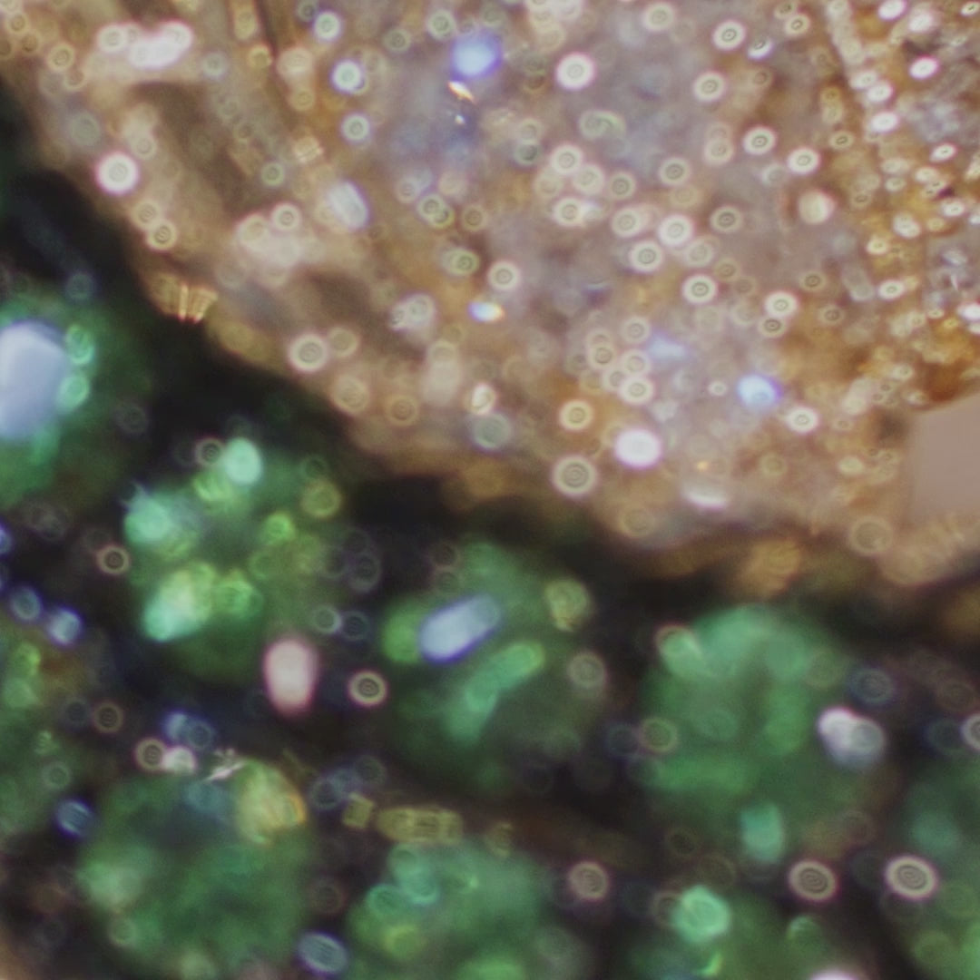 Safari 14K Yellow Gold Tsavorite and Diamond Alligator Ring