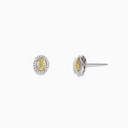 The Canare 18K Two-Tone Gold Oval Yellow Diamond Stud Earrings, 0.51 TCW, feature oval yellow diamonds with a halo of small white stones and are shown against a plain white background.