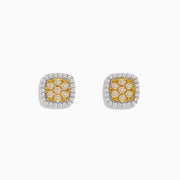 The Canare 14K Two Tone Gold Cushion Shaped Cluster Yellow Diamond Earrings feature yellow center stones surrounded by white diamonds, beautifully crafted for a striking look.