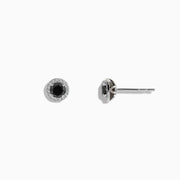 The Caviar 14K White Gold White and Black Diamond Stud Earrings feature black diamond centers encircled by white diamonds, shown on a plain white background.