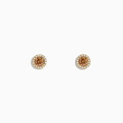 The 14K Yellow Gold White and Espresso Diamond Stud Earrings feature a cluster of espresso diamonds at the center, encircled by small clear stones, all set in yellow gold against a white backdrop.