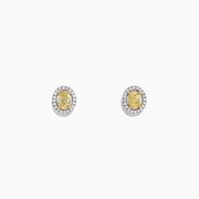 The Canare 18K Two-Tone Gold Oval Yellow Diamond Stud Earrings, 0.51 TCW, feature oval yellow diamonds with a halo of small white stones and are shown against a plain white background.