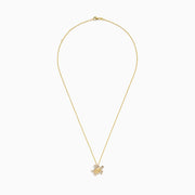 Seaside 14K yellow gold turtle pendant adorned with white and black diamonds, shown on a plain white background.