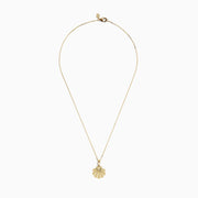 The Seaside 14K Yellow Gold Scallop Shell Pendant is a necklace with a thin chain and a textured, scallop shell-shaped pendant.