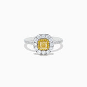 The Canare 14K Two Tone Gold Yellow and White Diamond Ring features a square yellow diamond center, framed by a double halo of white diamonds and accented with diamonds on the band.