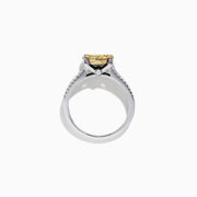 The Canare 14K 2-Tone Gold Yellow Diamond Bouquet Ring, 1.00 TCW, features a central cluster of yellow diamonds and sparkling accents on a triple-row split band for dazzling brilliance.